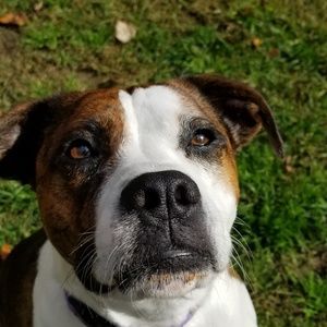 Meet your Posher, Paula